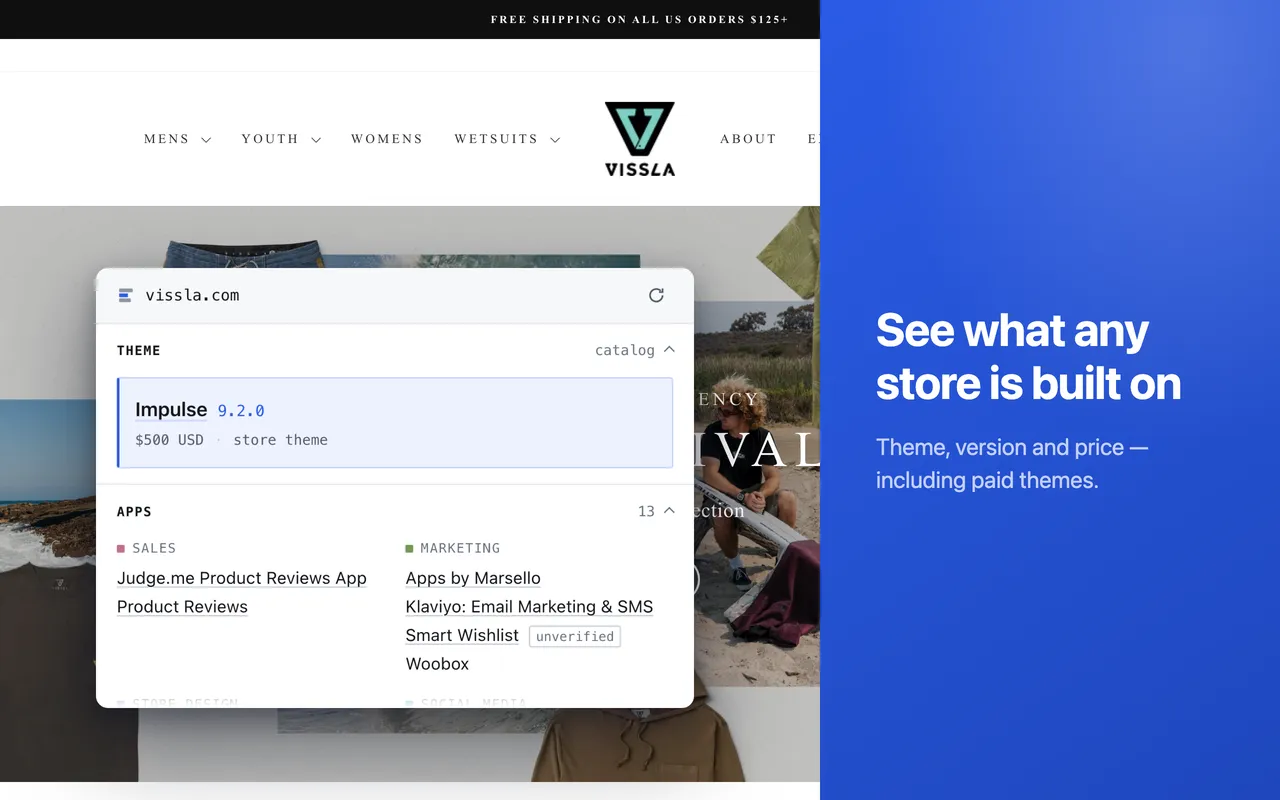 Theme detection — the side panel naming the storefront's theme, its version, its creator and its price.