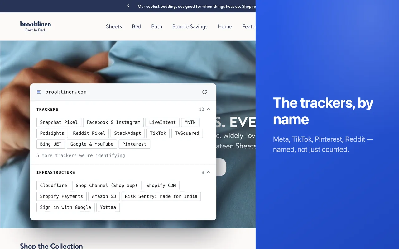 Tracker detection — advertising and analytics pixels listed by name rather than counted as a total.